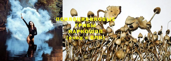 скорость Семёнов